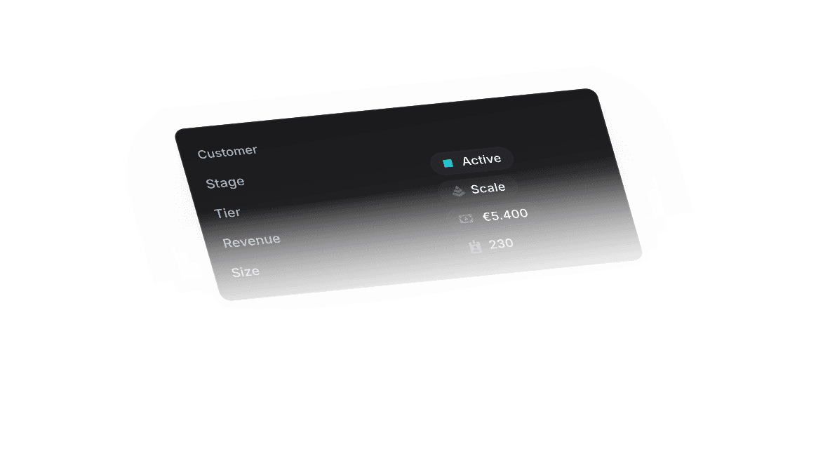 Customer details card showing Active status, Scale plan, revenue, and size